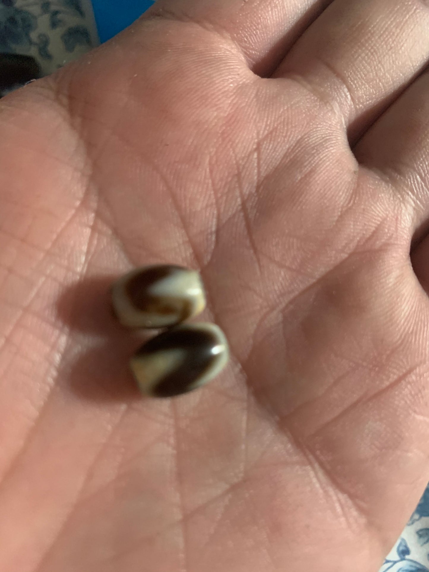 Lavender jade glass bangles